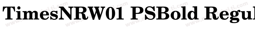 TimesNRW01 PSBold Regular字体转换